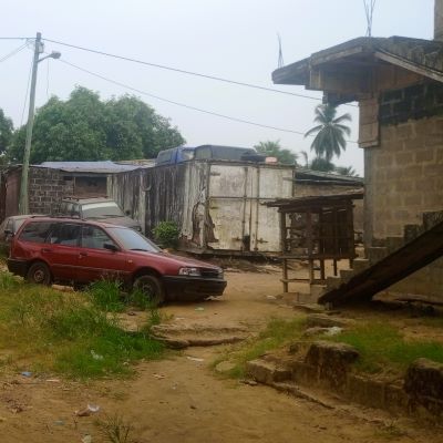 A view of Jacob Town Chicken Farm