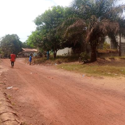 A view of Johnsonville Road