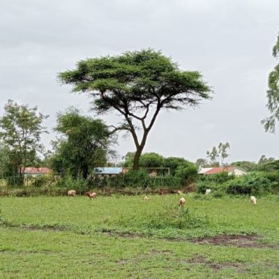 The community of Kolwenye Moyie