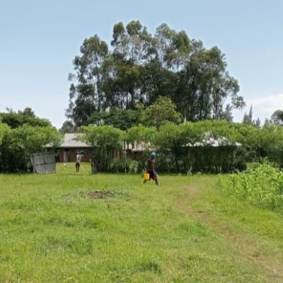 This is a view of Omori Arose WP community