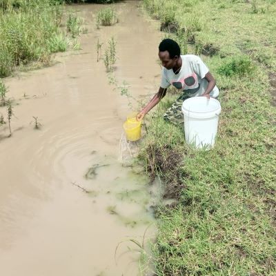 Old water source 