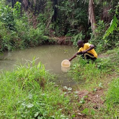Old water source