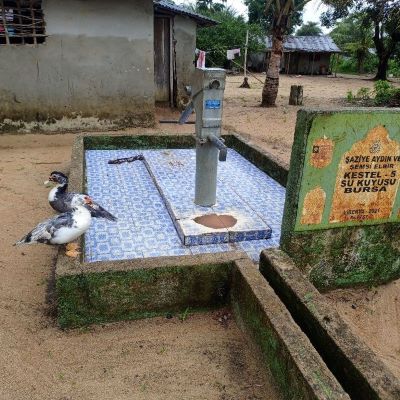 Communal well 