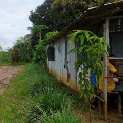 This is Upper Congo town Cotton Tree village 