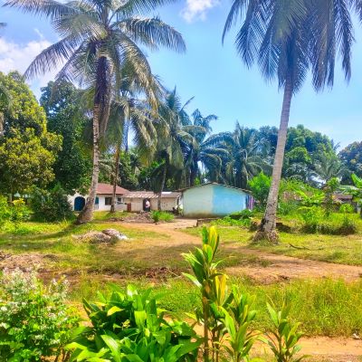 This is a view of Eleven Angel Field village