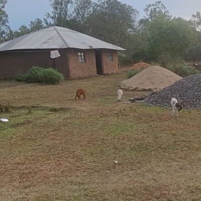 A villager's home in Kosaka Alumni community