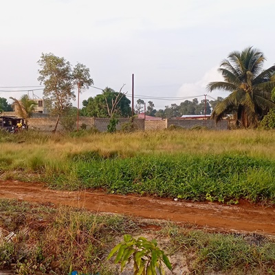 Village Overview