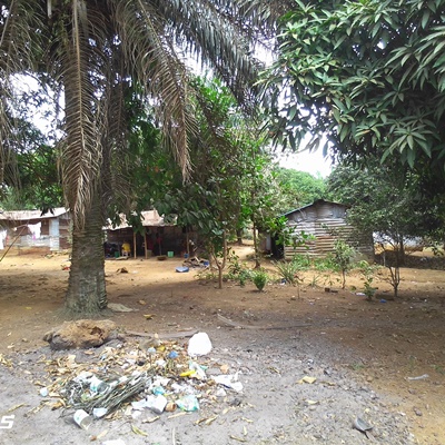 Village overveiw