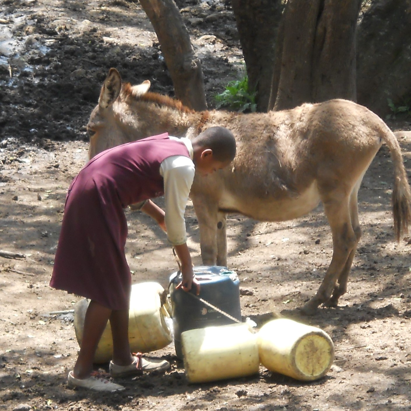 Going to the mud hole for water while pump down. 