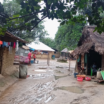 Village Overview