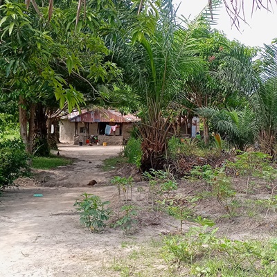 Village Overview