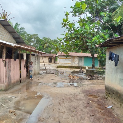 Village Overview