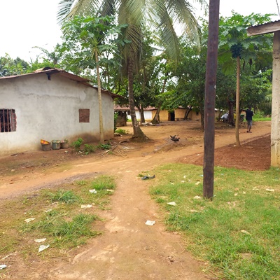 Village Overview