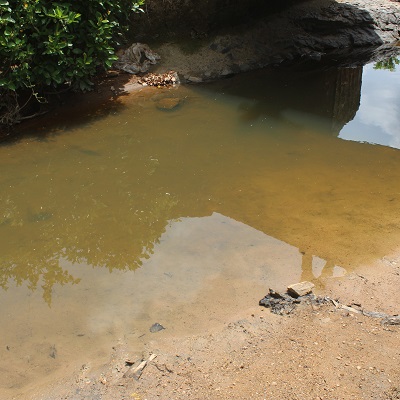 Previous Source