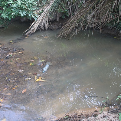Previous Source