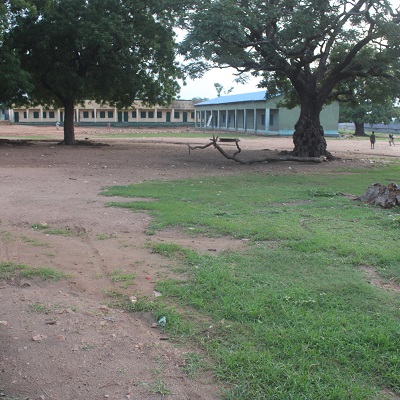 Community school