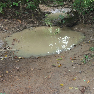 Previous Source