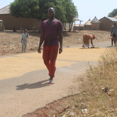 Harvested farm produce