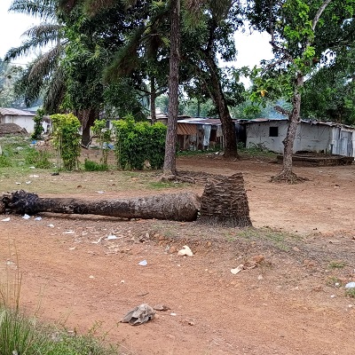 New Hope Methodist School
