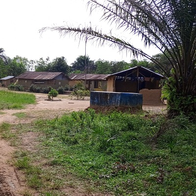 Pepper village 
