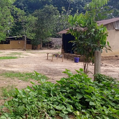 Marchee town village 
