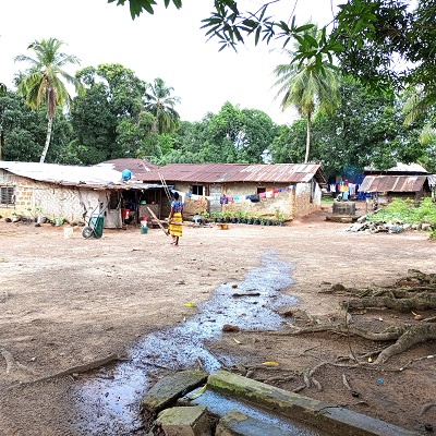 Dark Forest Field village