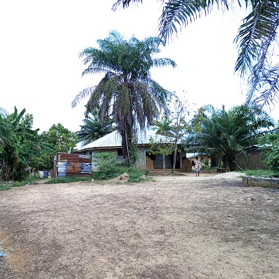 Dark Forest Field Q7 village