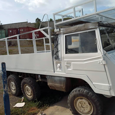 Pinzgauer Truck in good working order