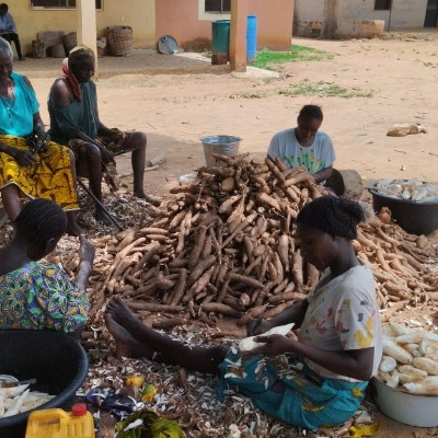 Women peeling Cassava 