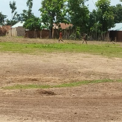 Community school