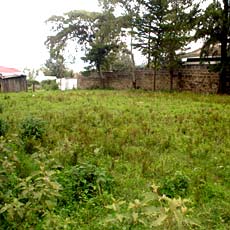Back of Academy, Old latrine on left