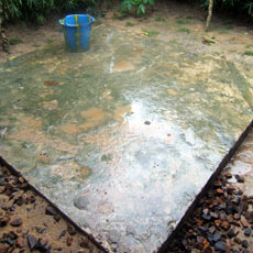 Septic Tank