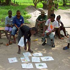 Health & Hygiene Lesson