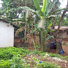 Village Overview