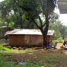 Village Overview