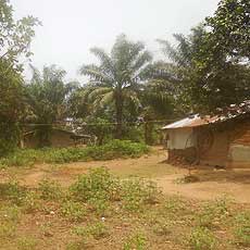 Village Overview